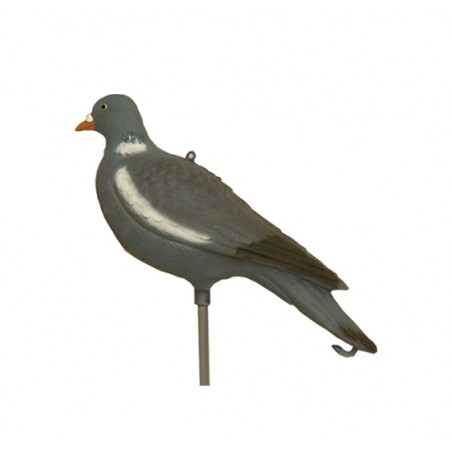 Stampo Colombaccio pieno