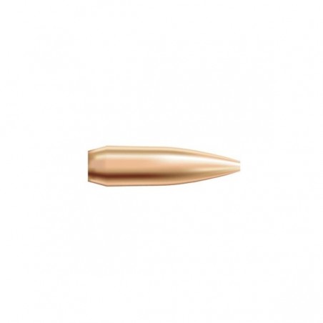NOSLER PALLE CAL. 22 .224 DIA 77 GR HPBT CUSTOM COMPETITION CONF. 250 PZ
