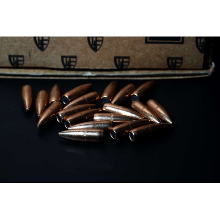 NOSLER 308 dia. 165 Gr. Spitzer Hunting Ballistic Tip cal. 308