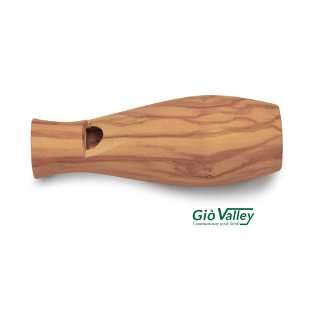 CODONE MASCHIO LEGNO DI ULIVO