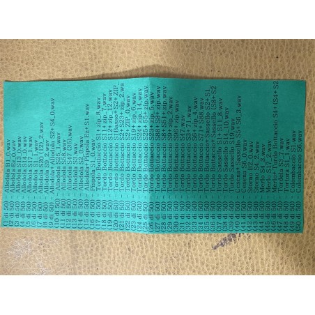 Registratore FDN 50 canti usato pari al nuovo