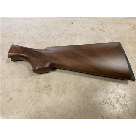 Benelli calcio montefeltro v.s. cal.20