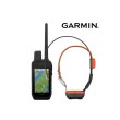 COLLARE E PALMARE DI MARCA GARMIN MODELLO ALPHA 200K