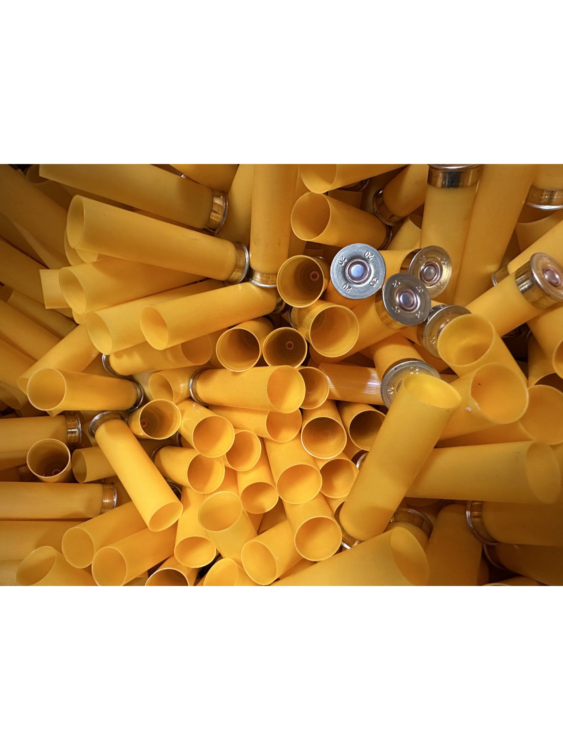 Bossoli di marca Nobel Sport calibro 20 tipo 1 altezza 70mm