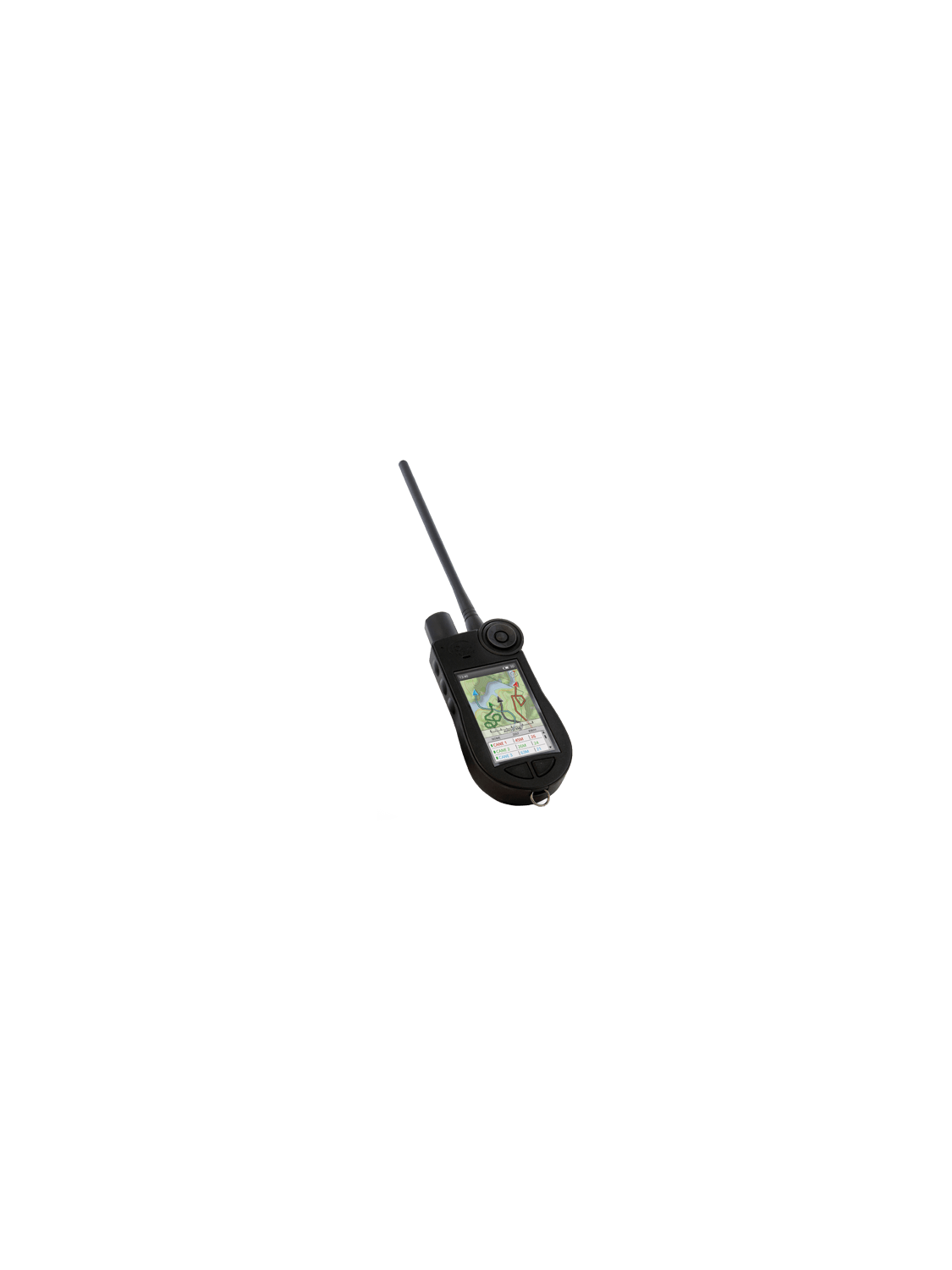 Sport Dog TEK 2.0 Palmare