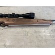 Carabina ad aria compressa di marca Air Arms calibro 4,5 full