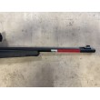 Carabina semiautomatica di marca Winchester calibro 22 lr modello wildcat
