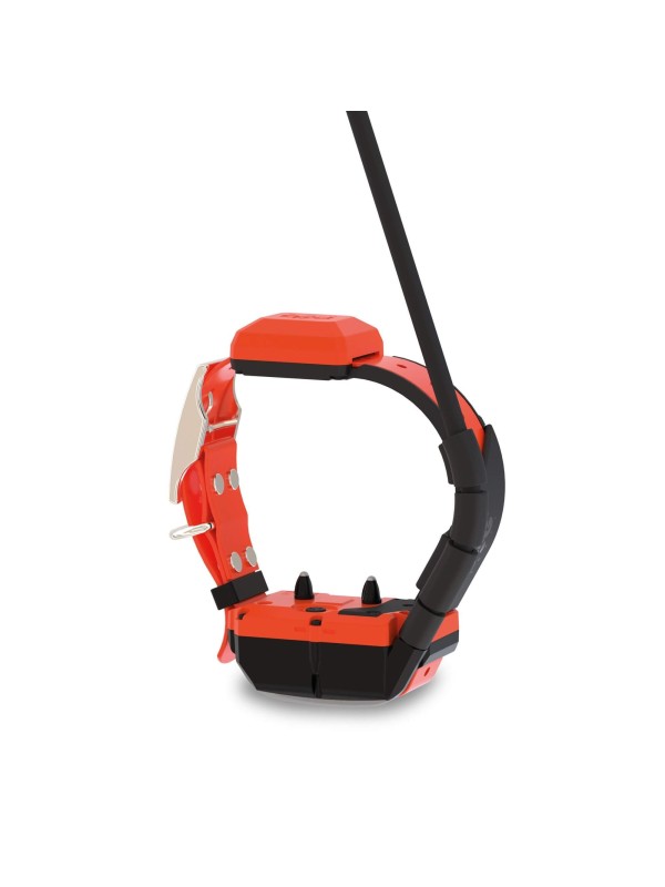 DOG GPS X40T – Collare GPS per cani con funzione di addestramento