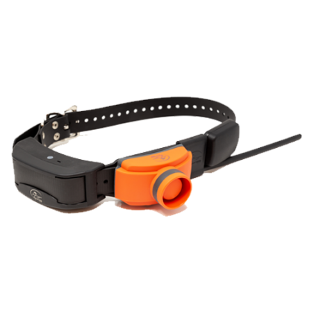 Collare Beeper tek