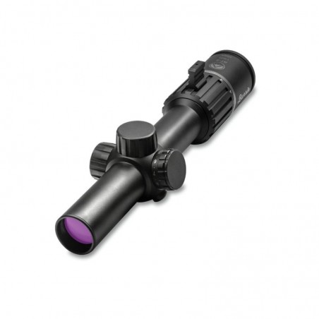 Burris rt6 1-6x24 ret.3