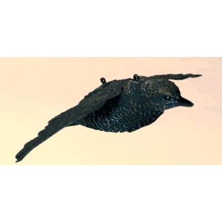 Storno in volo SPORT PLAST