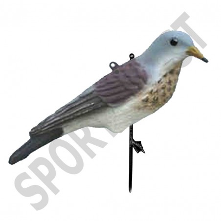 Cesena posata SPORT PLAST